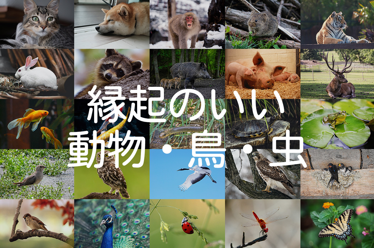 縁起のいい動物・鳥・虫】祈願やお祝いに動物モチーフのギフトを贈ろう  