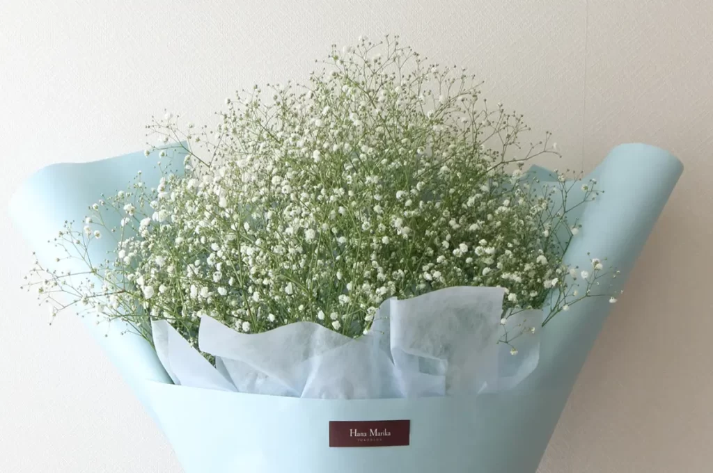 かすみ草さま　白のみ生地終了 かすみ草さま 白のみ生地終了 小分け】スーパーソフトミニカスミ草